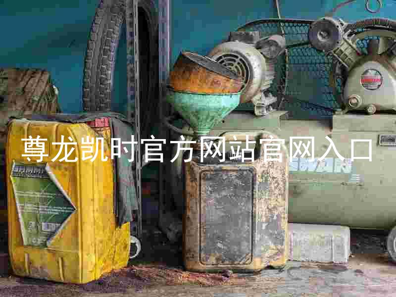 尊龙凯时官方网站官网入口
