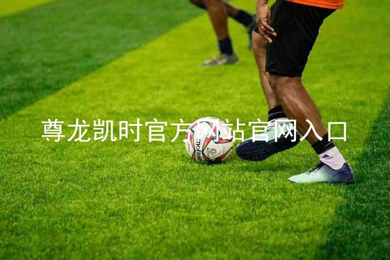 尊龙凯时官方网站官网入口